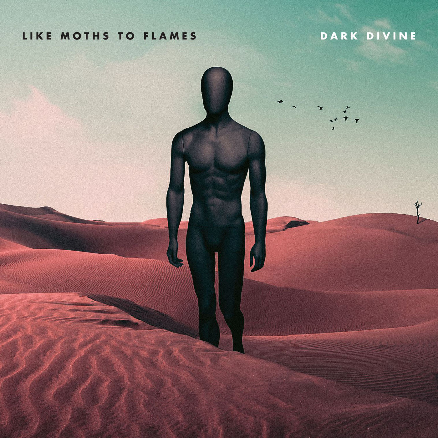 Like Moths To Flames – Dark Divine