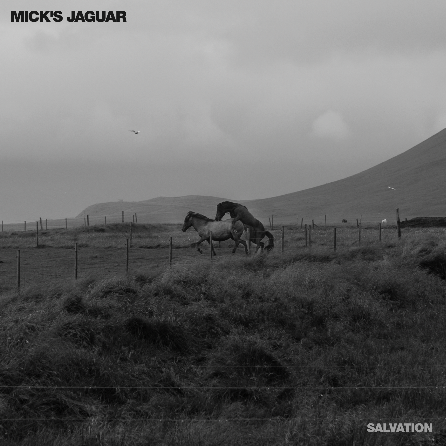 Mick’s Jaguar – Salvation